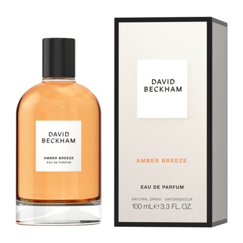 david breeze.jpg